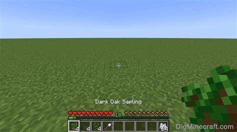 How to grow a Dark Oak Tree in Minecraft