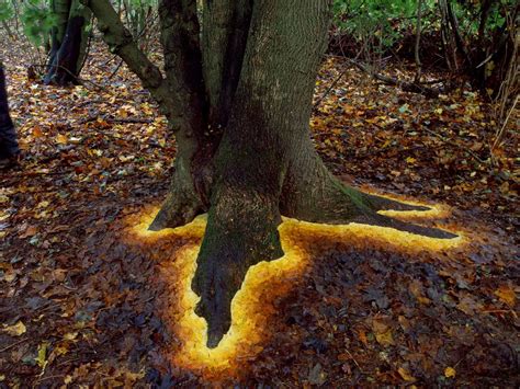 Cet artiste réalise d'époustouflantes créations géométriques dans la nature, qui semblent tout ...