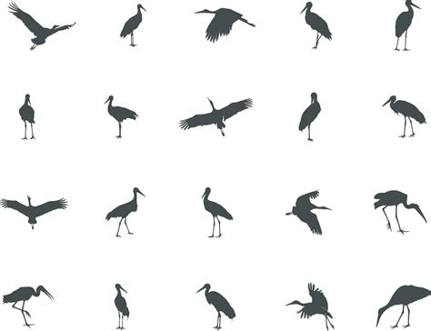 Stork silhouette, Stork vector silhouette, Flying stork silhouette. 24113793 Vector Art at Vecteezy