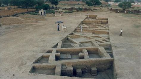 Why are we digging Rakhigarhi a 9th time? This Harappan site is a gift that keeps giving