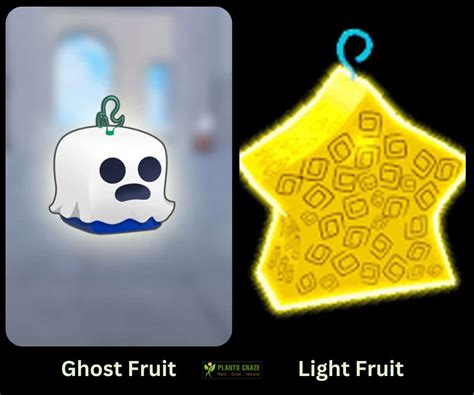 Is Ghost Fruit Better Than Light? Learn The Best Answer!