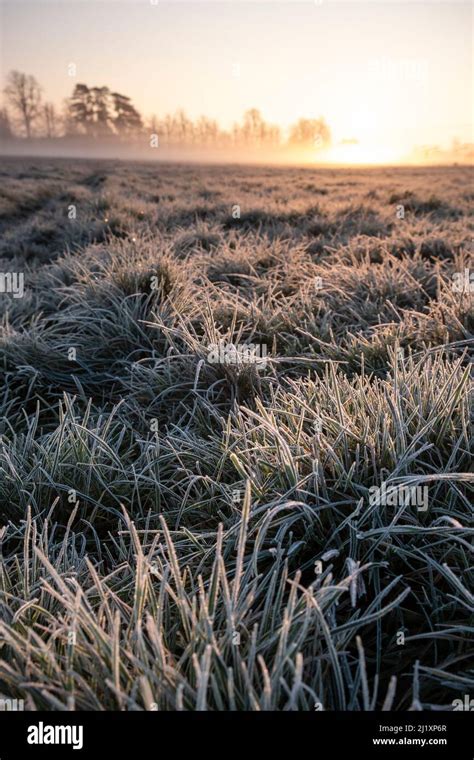 Early morning sunrise over fields and path with grass covered frost ...