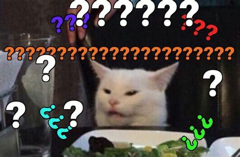 Confused cat meme | Cat memes, Memes, Cats