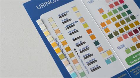 How to read a urine dipstick test to detect a Urinary Tract Infection (UTI)