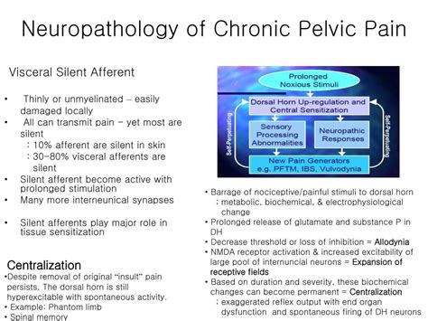 PPT - Chronic Pelvic Pain Pelvic Congestion Syndrome PowerPoint Presentation - ID:5678012