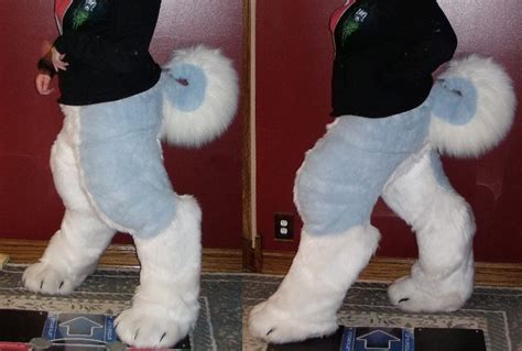 These paws are made for walking And thats just what they'll do For ...