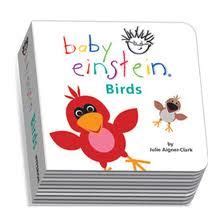 Baby Einstein Birds Book