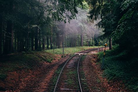 Gray train tracks, forest, nature, railway, trees HD wallpaper | Wallpaper Flare