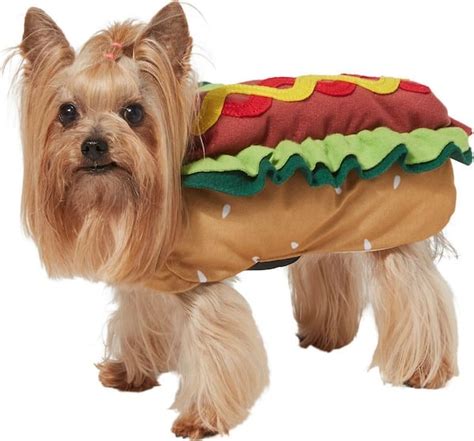 chewy hotdog dog halloween costume | Leah Ingram