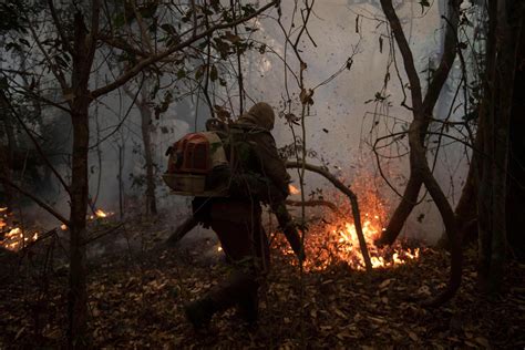 Fires in Brazil reduce 12% of world's largest tropical wetland to ash ...