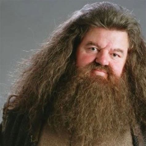 Rubeus Hagrid Costume - Harry Potter Fancy Dress