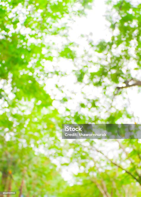 Details 100 green nature background hd - Abzlocal.mx