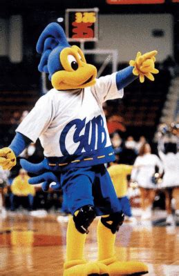 csu BAKERSFIELD cheerleaders - Google Search | Cheerleading, Teams, Mascot