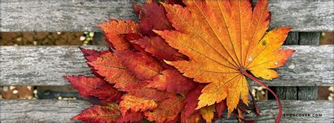 Autumn leaves Facebook Cover photo Cover Pics For Facebook, Fb Cover Photos, Facebook Timeline ...