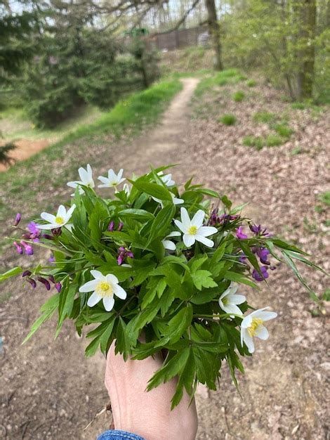 Premium Photo | Wild flowers bouquet