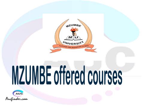 Mzumbe University offered 2024 | MZUMBE courses 2024