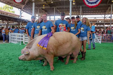 'Captain' claims Big Boar title at Iowa State Fair | National Hog Farmer