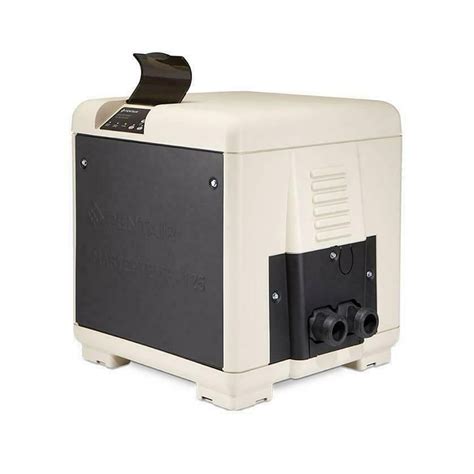 Pentair MasterTemp 125 125,000 BTU Natural Gas Compact Pool & Spa ...