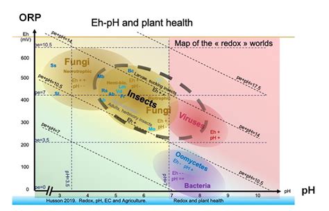 pH & Plant Health – Electrolyzed Water