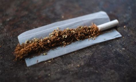 Spliff vs Joint : One Main Difference - Cannabis Tutorials