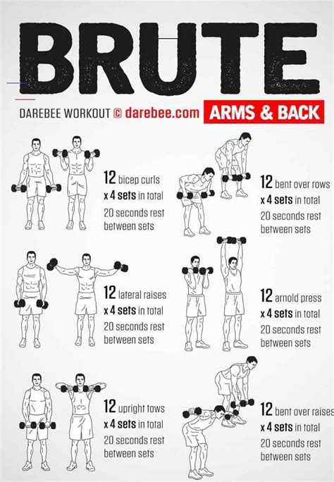 6 Day At Home Dumbbell Workout Plan Pdf for Burn Fat fast | Fitness and Workout ABS Tutorial