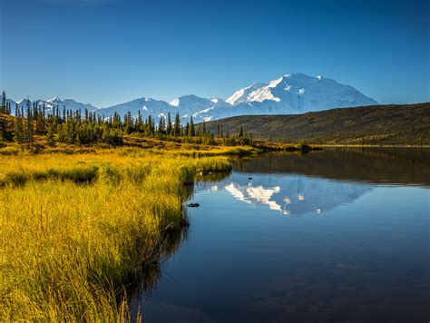 Mount Denali Reflections | Denali National Park, Alaska | Lance B. Carter Photography