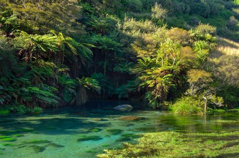 The Blue Spring (near Putaruru) : r/newzealand