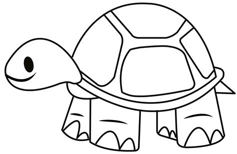 Tortoise Drawing at GetDrawings | Free download