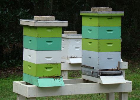 This Old Bee House: Study Deems Hive Boxes Drafty, Inefficient