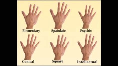 Palmistry Lesson * Hand Types and Hand Flexibility (ASMR) - YouTube