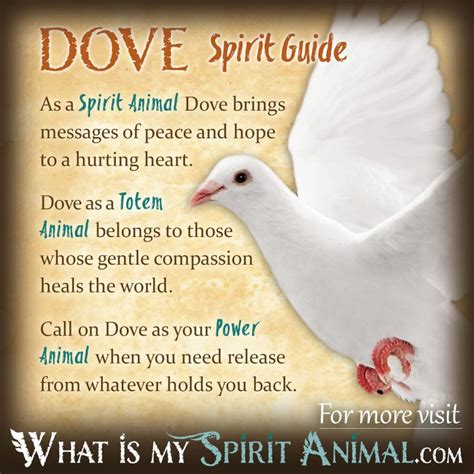 Bird Symbolism & Meaning | Spirit, Totem, & Power Animal