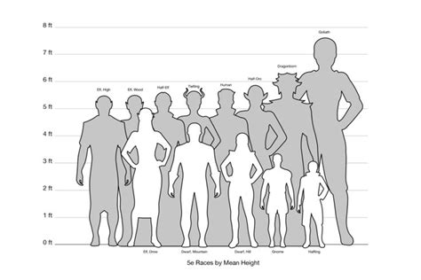 5e Races Height Chart — Jay Robinson • Portfolio | Dungeons and dragons characters, 5e races, D ...