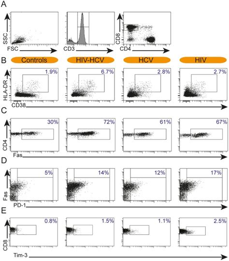 Representative flow cytometry plots of T-cell activation- and... | Download Scientific Diagram