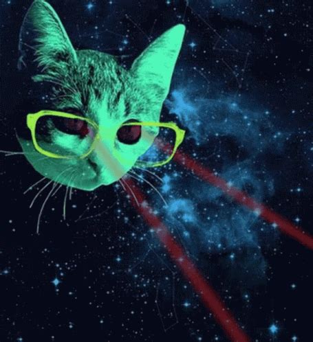 Cat Laser GIF - Cat Laser Meme War - Discover & Share GIFs