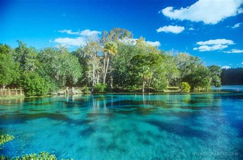 Silver Glen Springs > Ocala National Forest