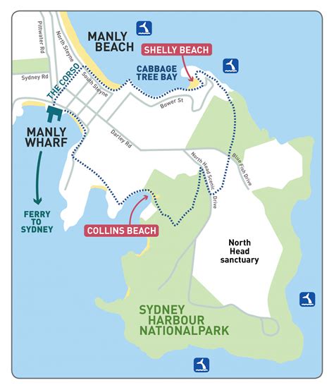 Manly Coastal Walking Tour - ECOTREASURES Manly Snorkel Tour