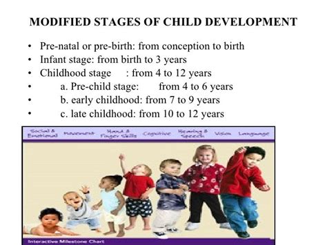 Physical Development Stages Chart