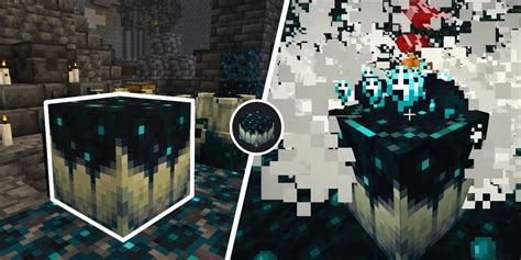 Minecraft Sculk Catalyst Guide: How to Find & Use It