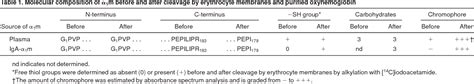 alpha-1-microglobulin | Semantic Scholar