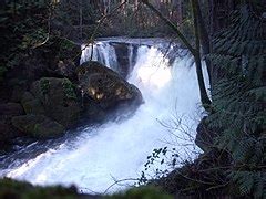 Category:Whatcom Falls Park - Wikimedia Commons