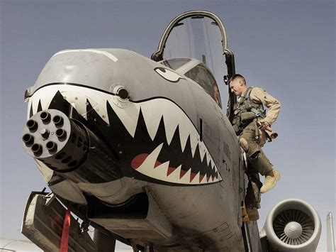 Sharks and the US Military — Shark Files