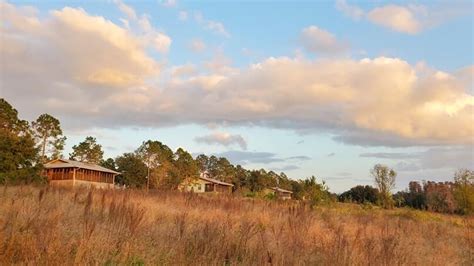 Lake Louisa State Park cabins INSIDE look + amazing sunset from the porch and trail down below ...