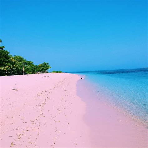 Pink Beach, Great Santa Cruz Island, Zamboanga, De Filipijnen Pink Sand Beach, Beach Fun ...