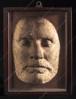 Oliver Cromwell's death mask. - Stock Image - C033/2883 - Science Photo Library