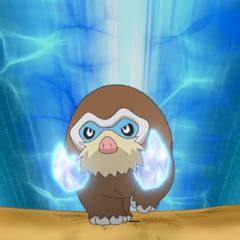 Dawn's Mamoswine - The Pokémon Wiki