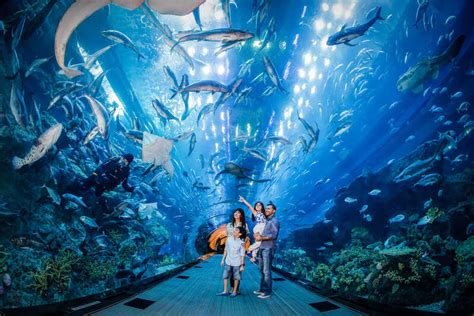 The Lost Chambers Aquarium - Dubai Travel Online