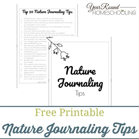 Nature Journaling Tips - Year Round Homeschooling