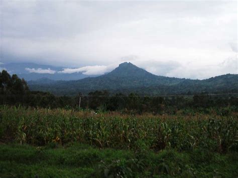 Mount Elgon – Good Morning Sunshine