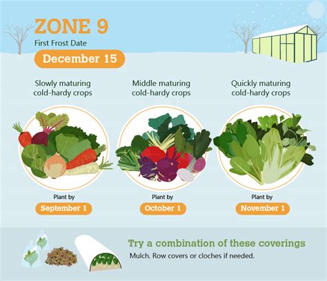 Winter Gardening: Tips and Guidelines Specific to Your Zone – Yardfarmers