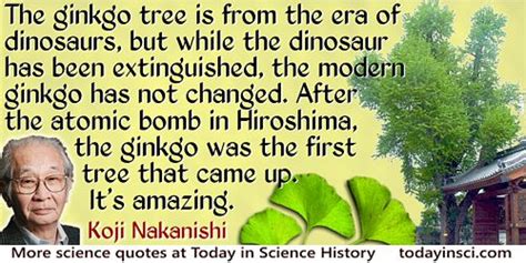 Quotes On Hiroshima